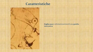 Caratteristiche
Foglio 1021v: schematizzazione di una gamba
meccanica
 