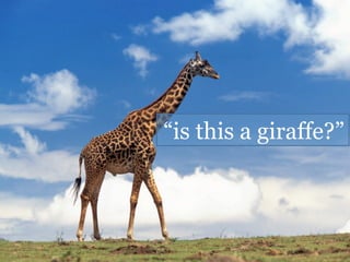 “is this a giraffe?”
 