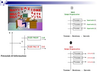 v
V=(Si- No)>0 I >0
V=(Si- No) <0 I<0
Potenziale di Informazione
I
Campo O rganizzativo
Processo (1) Criticità (1)
Processo (2) Criticità (2)
Processo (3) Criticità (3)
Tensione – Resistenza - Corrente
Campo Organizzativo
Processo (1) Opportunità (1)
Processo (2) Opportunità (2)
Processo (3) Opportunità (3)
Tensione – Resistenza - Corrente
 