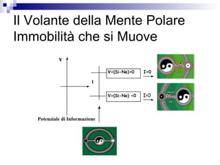 Il Volante della Mente Polare
Immobilità che si Muove
 