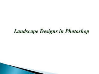 Landscape Designs in Photoshop
 