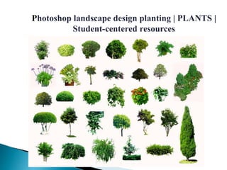 Photoshop landscape design planting | PLANTS |
Student-centered resources
 