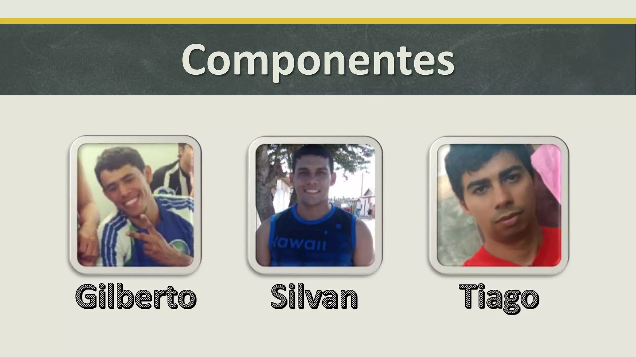 Componentes 