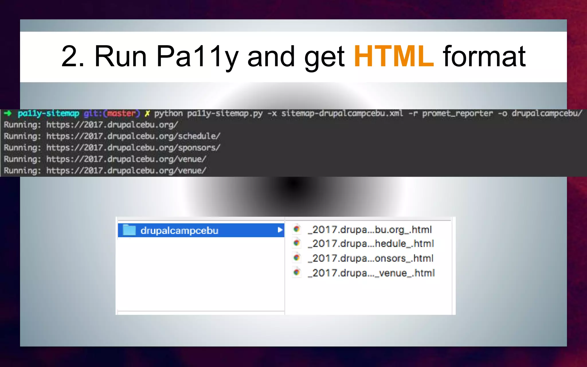 2. Run Pa11y and get HTML format
 