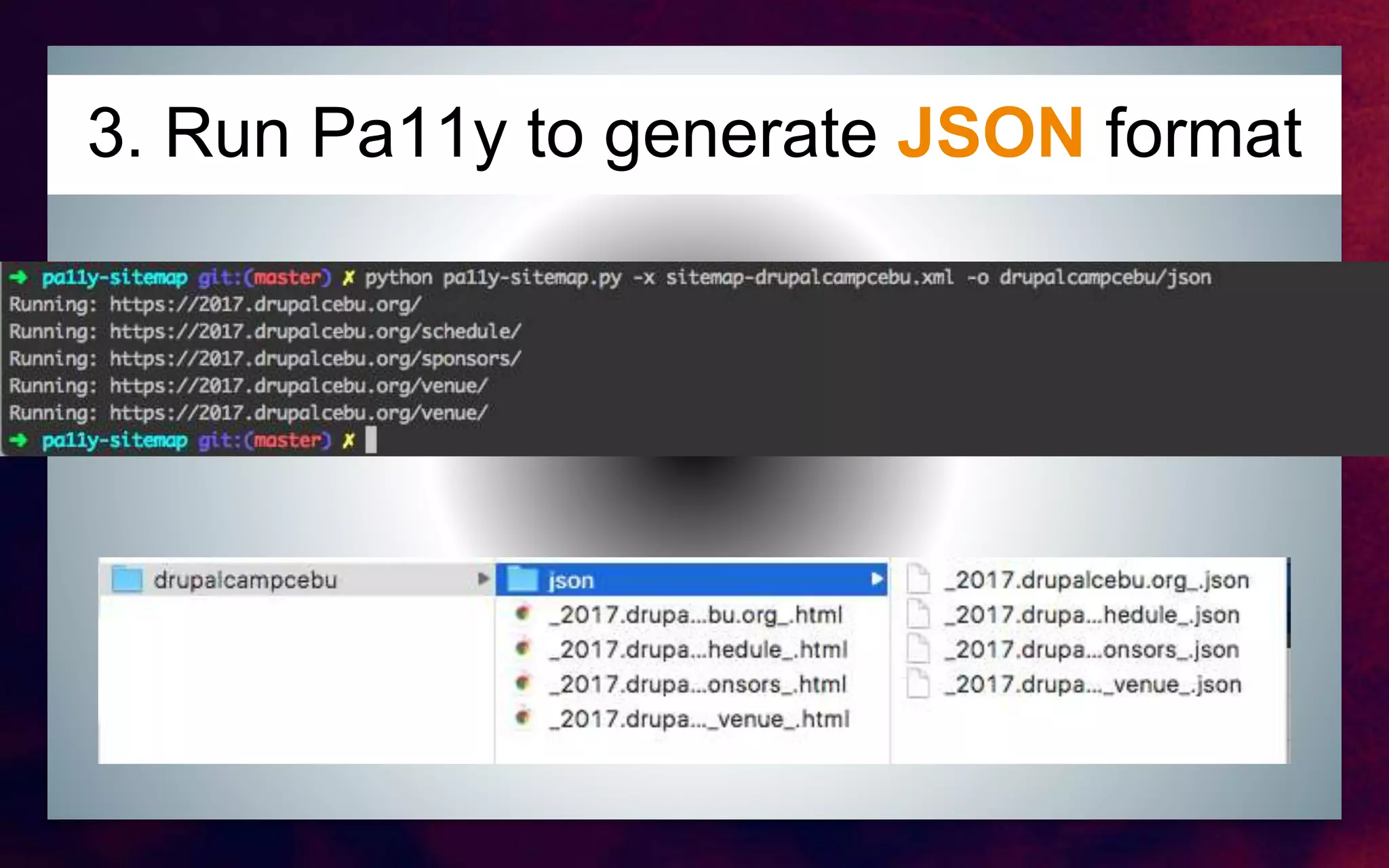 3. Run Pa11y to generate JSON format
 