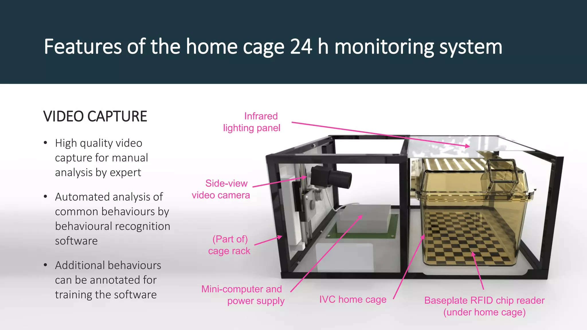 Infrared
lighting panel
IVC home cage Baseplate RFID chip reader
(under home cage)
Side-view
video camera
Mini-computer and
power supply
(Part of)
cage rack
Features of the home cage 24 h monitoring system
VIDEO CAPTURE
• High quality video
capture for manual
analysis by expert
• Automated analysis of
common behaviours by
behavioural recognition
software
• Additional behaviours
can be annotated for
training the software
 