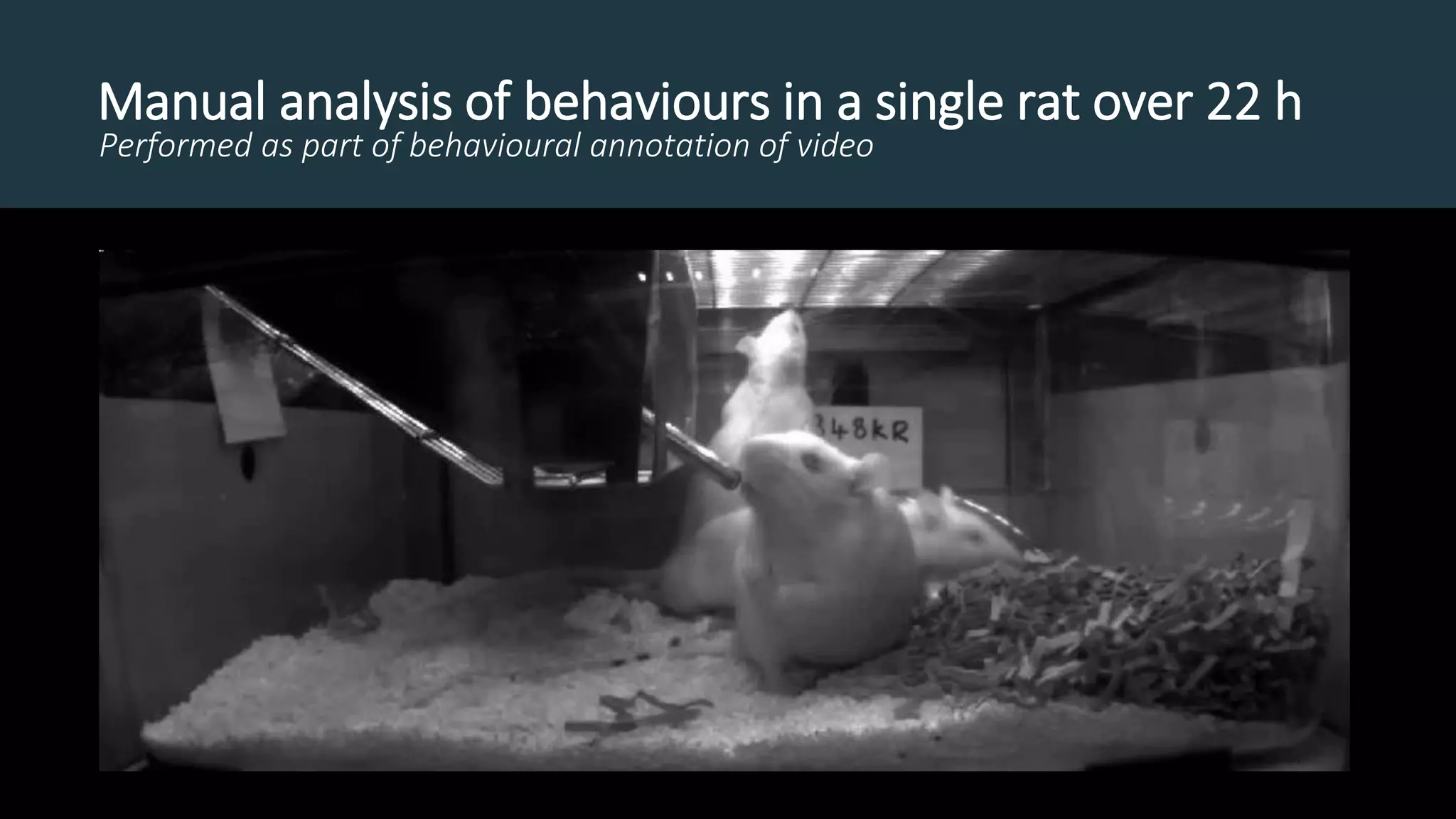 Manual analysis of behaviours in a single rat over 22 h
Performed as part of behavioural annotation of video
 