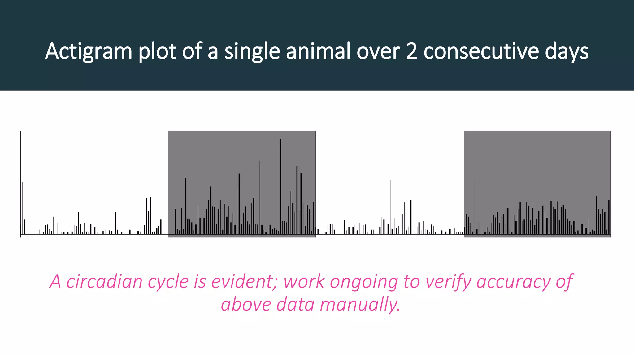 Actigram plot of a single animal over 2 consecutive days
A circadian cycle is evident; work ongoing to verify accuracy of
above data manually.
 