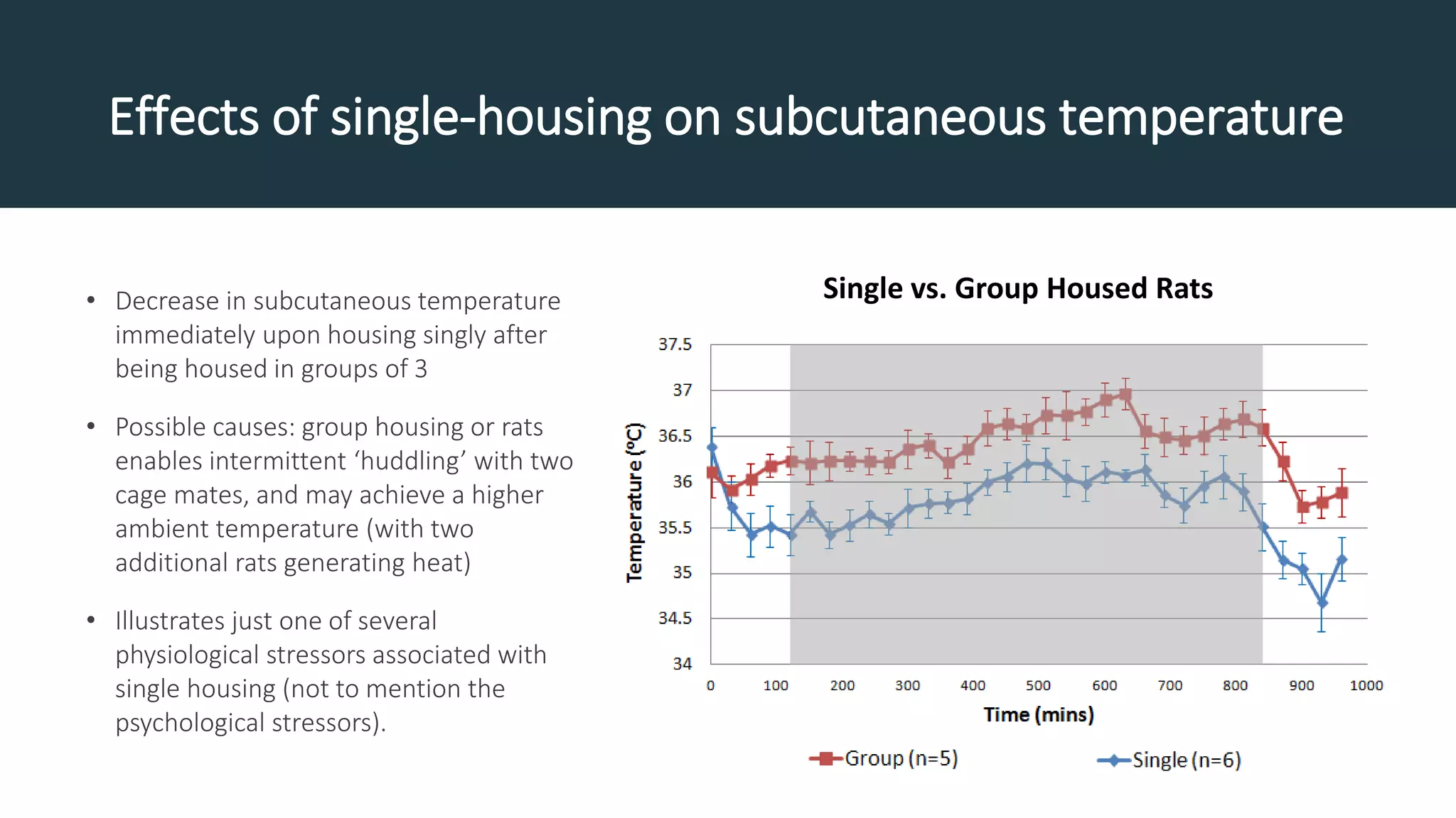 Effects of single-housing on subcutaneous temperature
• Decrease in subcutaneous temperature
immediately upon housing singly after
being housed in groups of 3
• Possible causes: group housing or rats
enables intermittent ‘huddling’ with two
cage mates, and may achieve a higher
ambient temperature (with two
additional rats generating heat)
• Illustrates just one of several
physiological stressors associated with
single housing (not to mention the
psychological stressors).
Single vs. Group Housed Rats
 