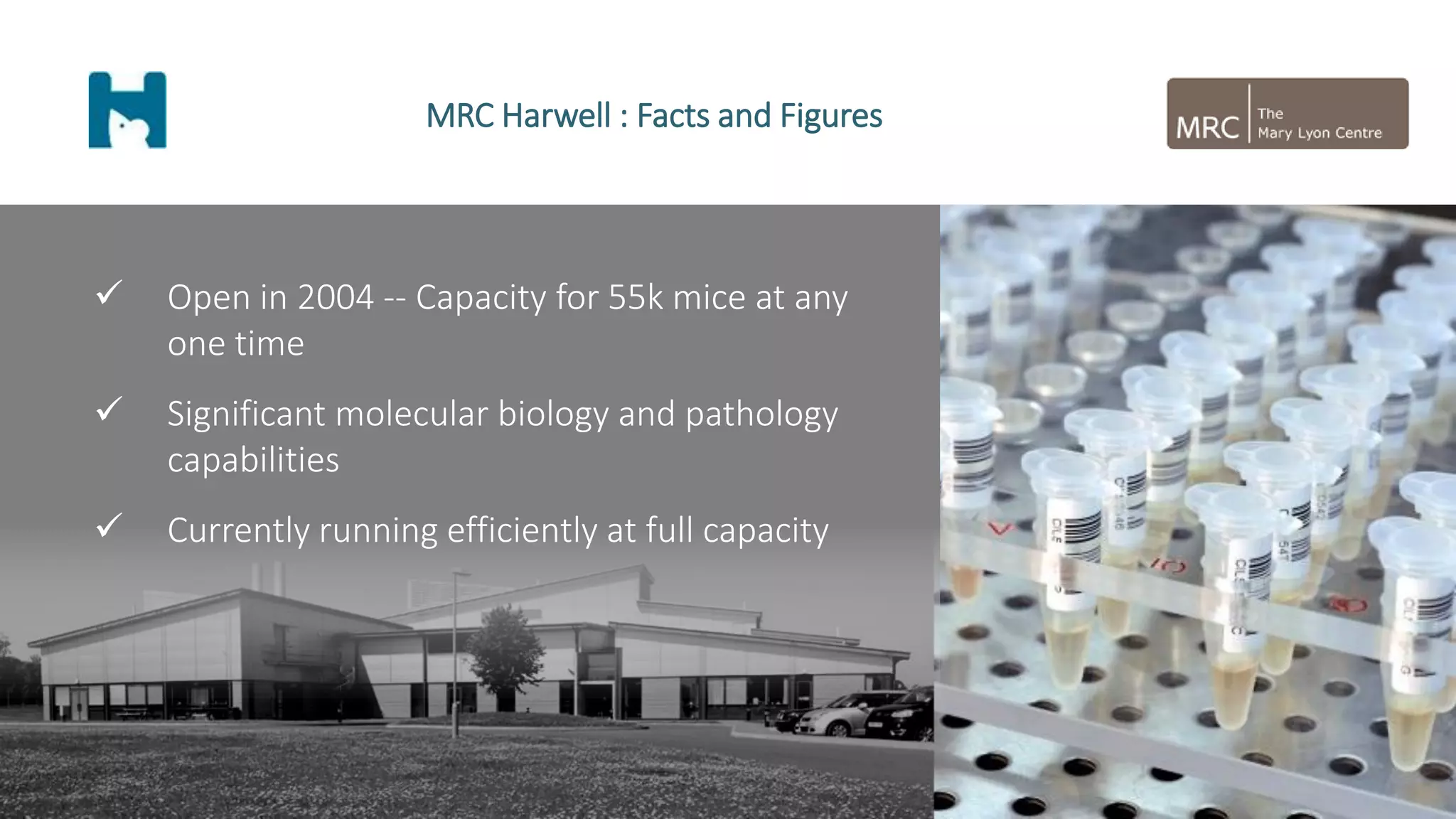  Open in 2004 -- Capacity for 55k mice at any
one time
 Significant molecular biology and pathology
capabilities
 Currently running efficiently at full capacity
MRC Harwell : Facts and Figures
 