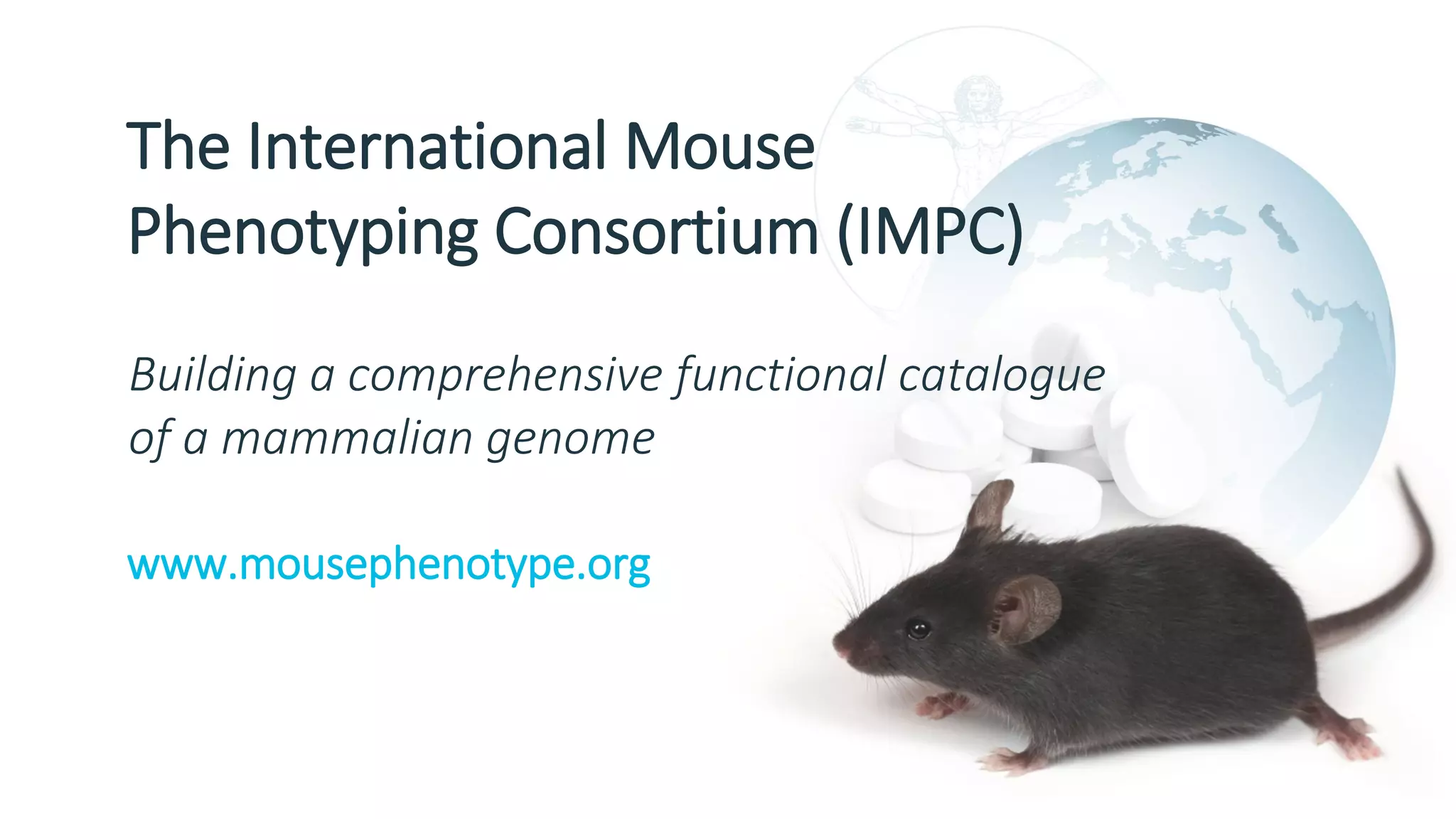 Building a comprehensive functional catalogue
of a mammalian genome
The International Mouse
Phenotyping Consortium (IMPC)
www.mousephenotype.org
 