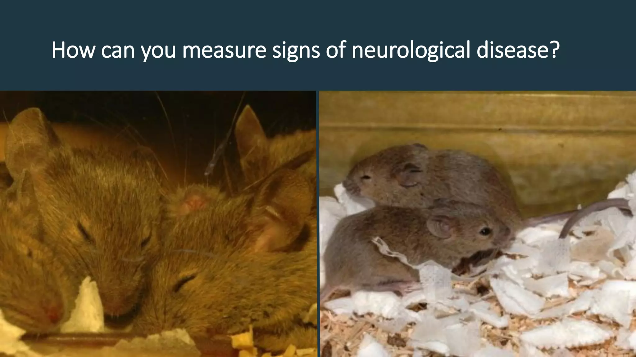 How can you measure signs of neurological disease?
 