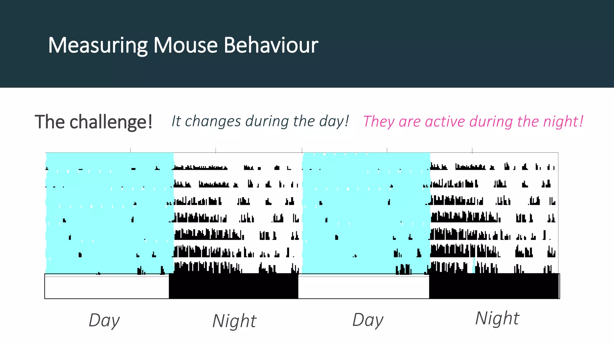 Measuring Mouse Behaviour
The challenge! It changes during the day! They are active during the night!
Day Night Day Night
 