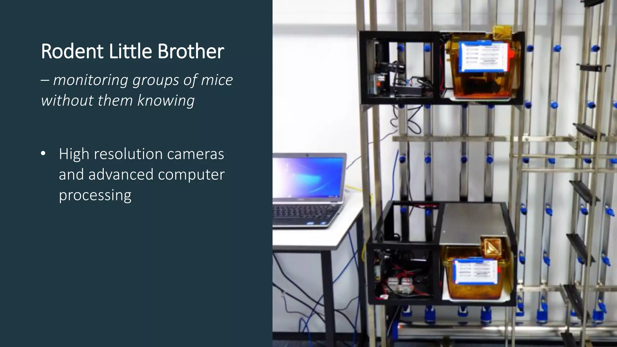 Rodent Little Brother
– monitoring groups of mice
without them knowing
• High resolution cameras
and advanced computer
processing
 
