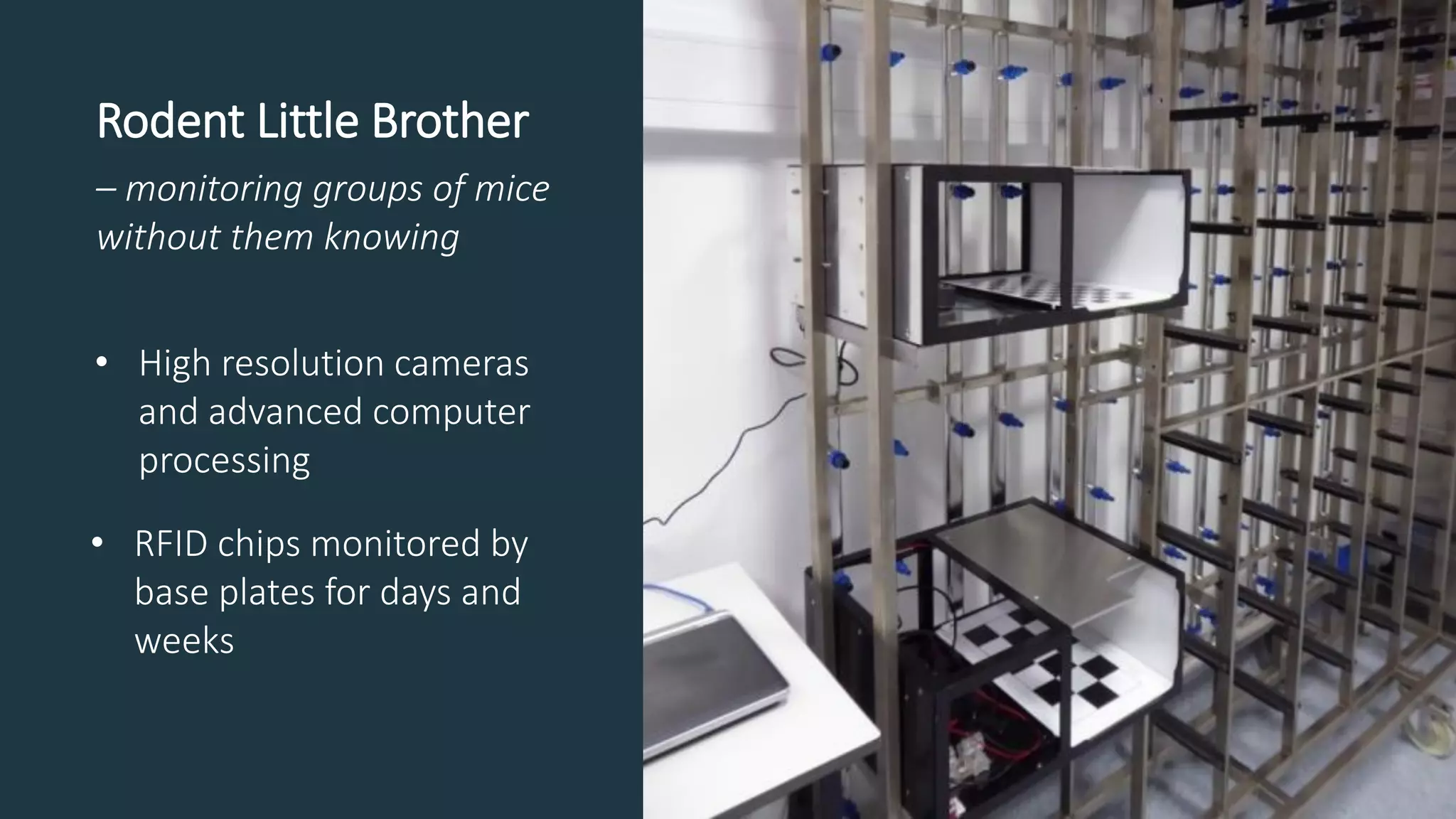 Rodent Little Brother
– monitoring groups of mice
without them knowing
• High resolution cameras
and advanced computer
processing
• RFID chips monitored by
base plates for days and
weeks
 