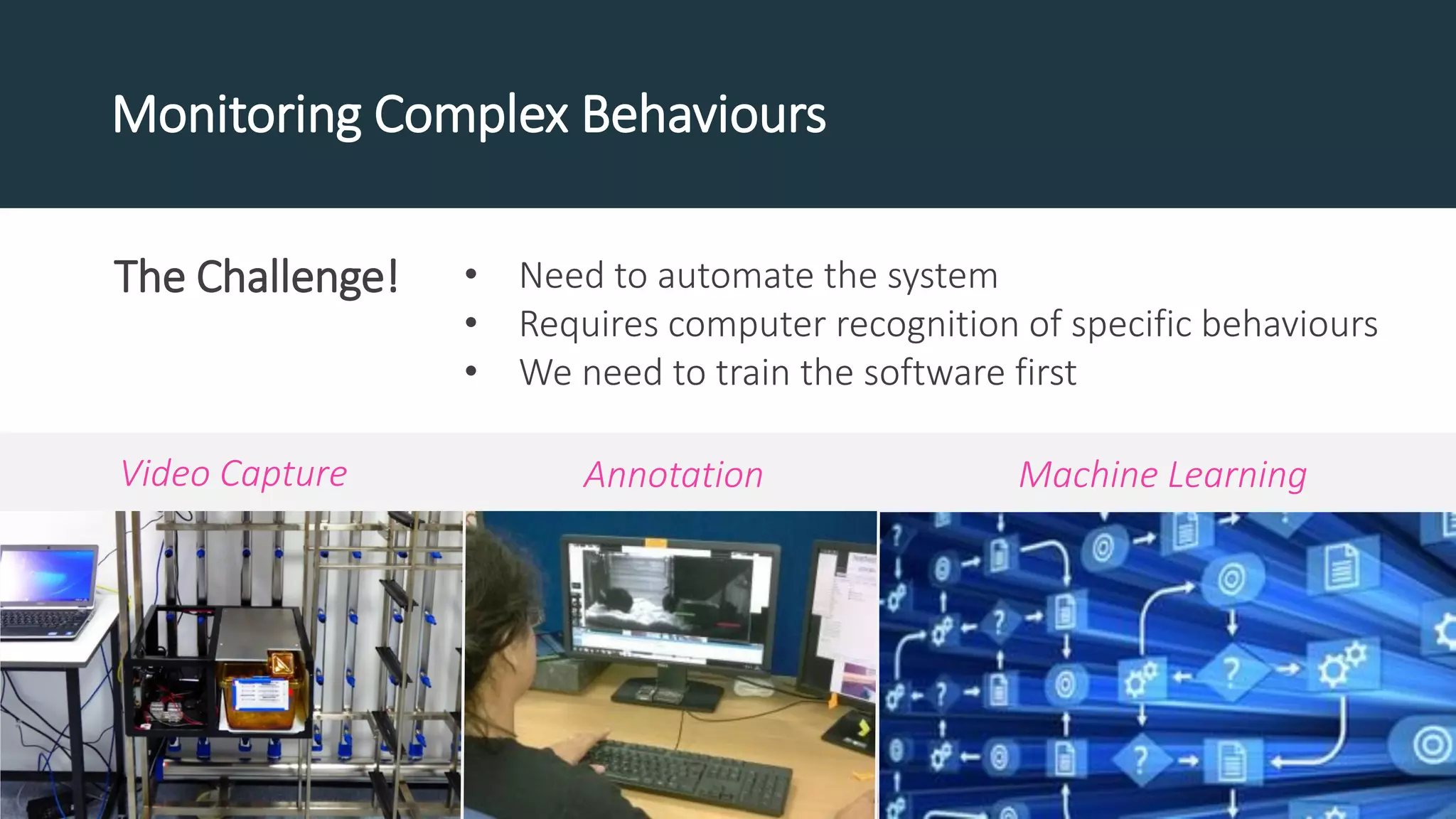 Monitoring Complex Behaviours
The Challenge! • Need to automate the system
• Requires computer recognition of specific behaviours
• We need to train the software first
Video Capture Annotation Machine Learning
 