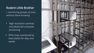 Rodent Little Brother
– monitoring groups of mice
without them knowing
• High resolution cameras
and advanced computer
pro...