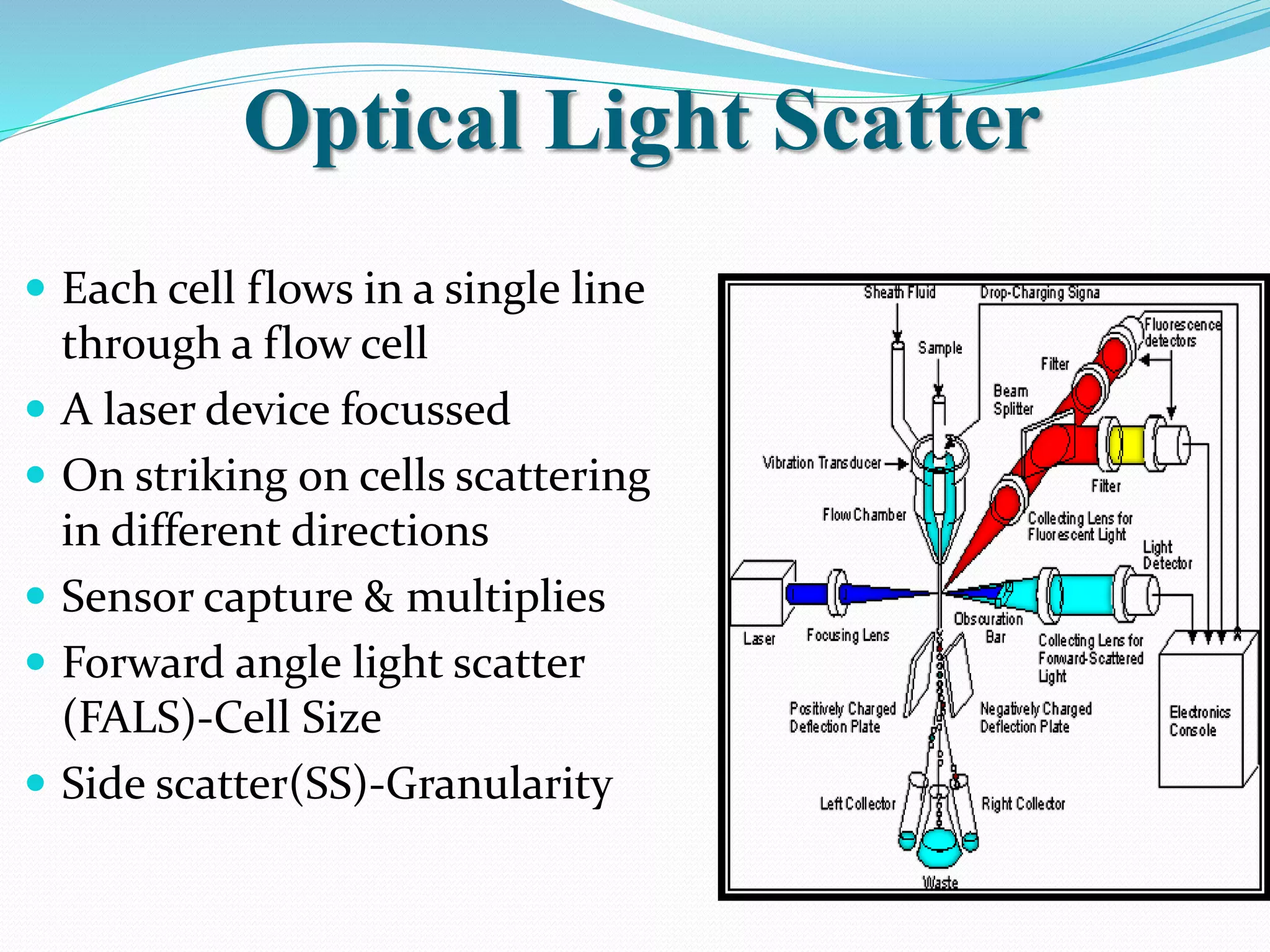 Optical Light Scatter
 Each cell flows in a single line
through a flow cell
 A laser device focussed
 On striking on cells scattering
in different directions
 Sensor capture & multiplies
 Forward angle light scatter
(FALS)-Cell Size
 Side scatter(SS)-Granularity
 