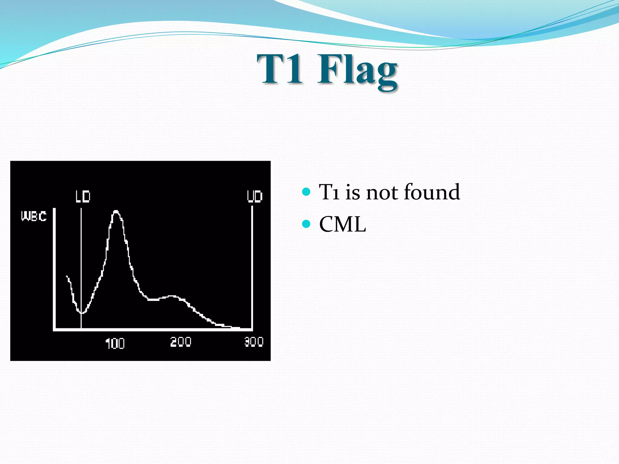 T1 Flag
 T1 is not found
 CML
 