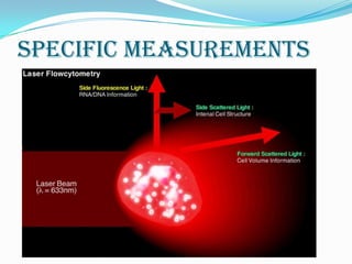 Specific measurements
 