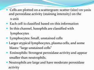  Cells are plotted on a scattergram: scatter (size) on yaxis
and peroxidase activity (staining intensity) on the
x-axis
 Each cell is classified based on this information
 In this channel, basophils are classified with
lymphocytes
 Lymphocytes: Small, unstained cells
 Larger atypical lymphocytes, plasma cells, and some
blasts: “large unstained cells”
 Eosinophils: Strongest peroxidase activity and appear
smaller than neutrophils.
 Neutrophils are large and have moderate peroxidase
activity
 
