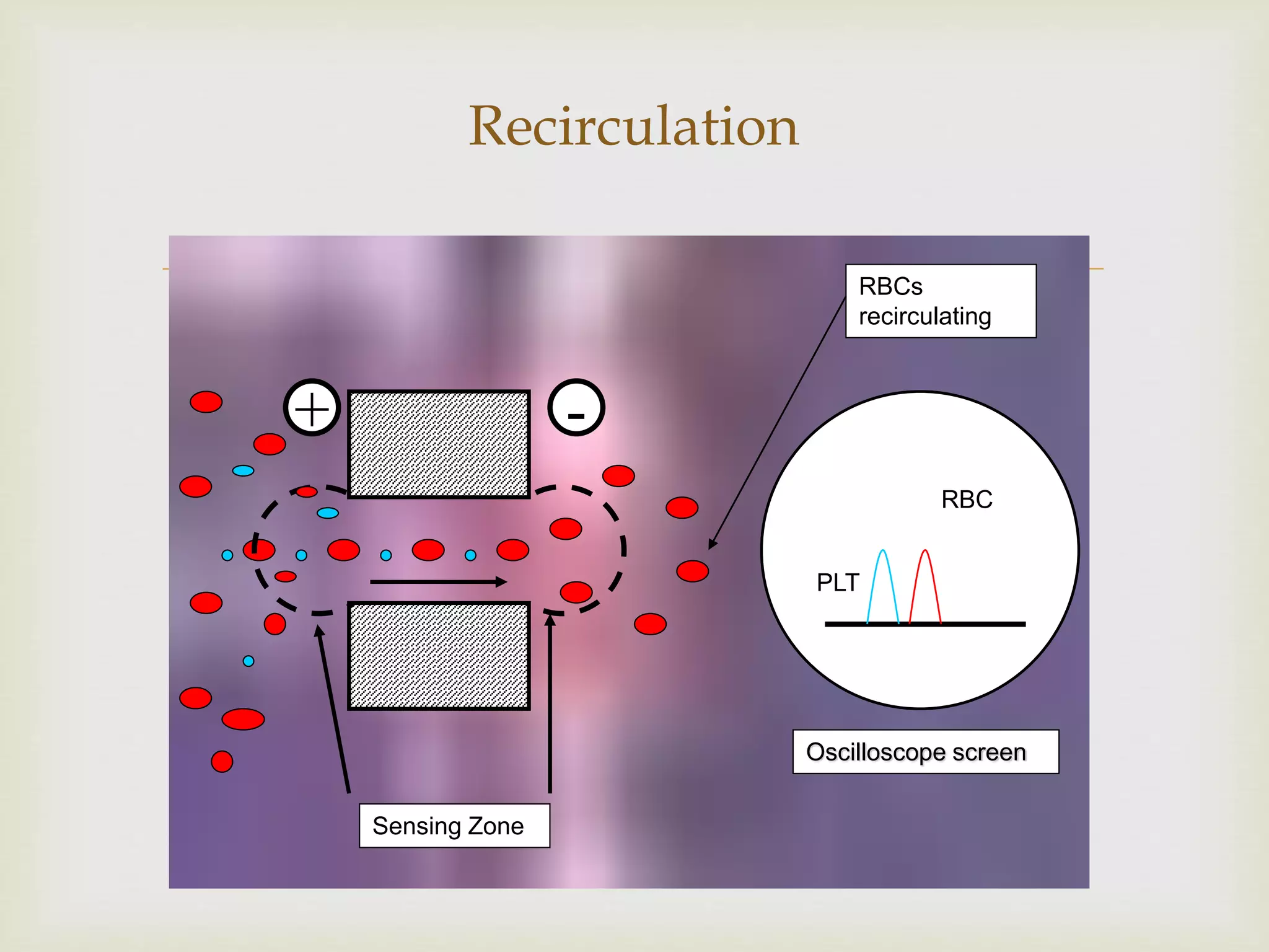 
Sensing Zone
RBCs
recirculating
Oscilloscope screen
RBC
PLT
+ -
Recirculation
 