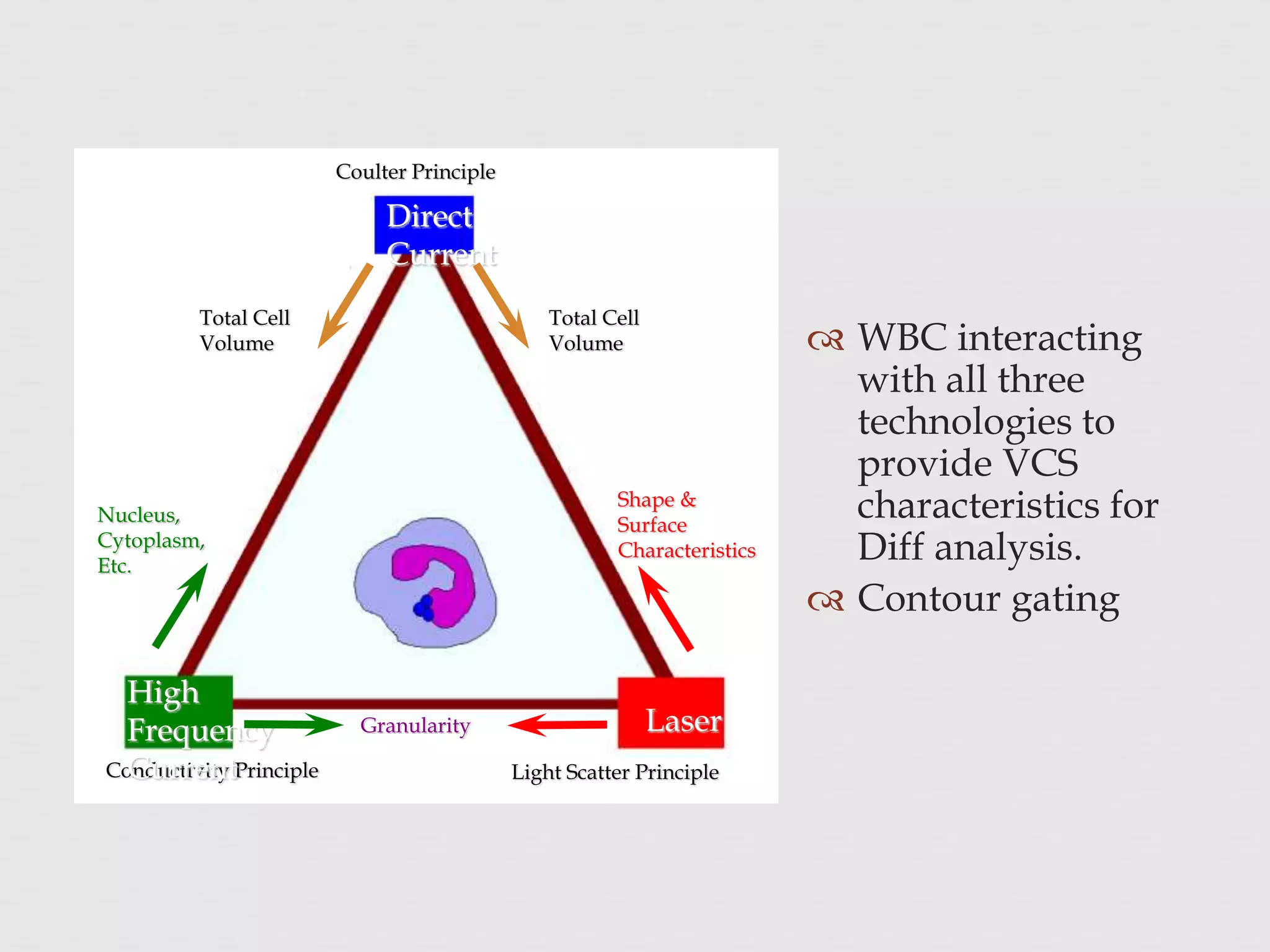  WBC interacting
with all three
technologies to
provide VCS
characteristics for
Diff analysis.
 Contour gating
Coulter Principle
Direct
Current
Total Cell
Volume
Total Cell
Volume
Conductivity Principle
High
Frequency
Current
Nucleus,
Cytoplasm,
Etc.
Granularity
Light Scatter Principle
Laser
Shape &
Surface
Characteristics
 