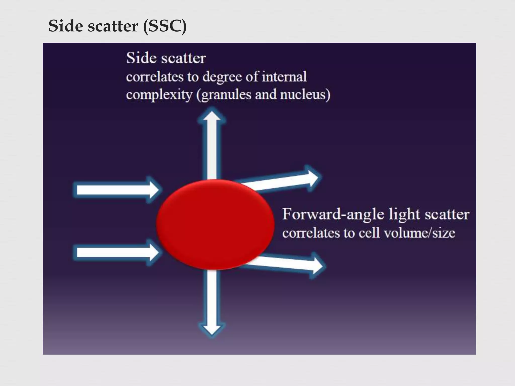 Side scatter (SSC)
 The illuminating beam that is scattered by particle to
an angle of 90* from the illuminating beam.
 This depends on cell's surface texture and internal
structure as well as to its size and shape and
granularity.
 It is sometimes referred to as a granularity signalor
an orthogonal light scatter signal.
 