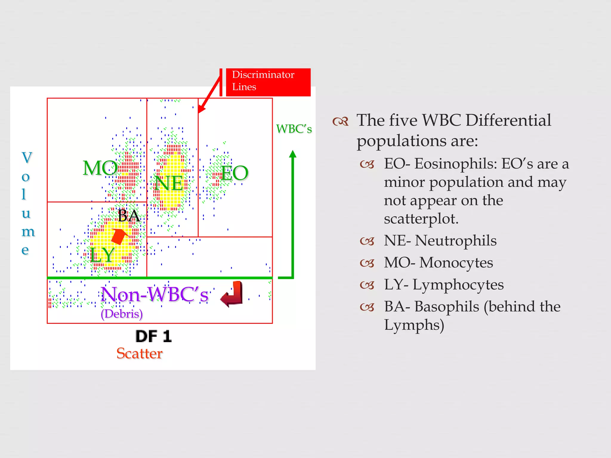 Non-WBC’s
(Debris)
Scatter
V
o
l
u
m
e
WBC’s
Discriminator
Lines
 The five WBC Differential
populations are:
 EO- Eosinophils: EO’s are a
minor population and may
not appear on the
scatterplot.
 NE- Neutrophils
 MO- Monocytes
 LY- Lymphocytes
 BA- Basophils (behind the
Lymphs)
EONE
MO
LY
BA
 
