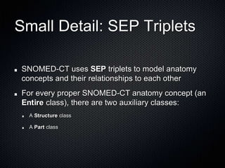 Small Detail: SEP TripletsSNOMED-CT uses SEP triplets to model anatomy concepts and their relationships to each otherFor every proper SNOMED-CT anatomy concept (an Entire class), there are two auxiliary classes:A Structure classA Part class