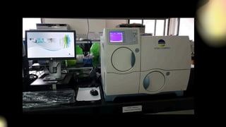 AUTOMATED SYSTEM FOR MICROBIAL IDENTIFICATION | PDF