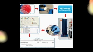 AUTOMATED SYSTEM FOR MICROBIAL IDENTIFICATION | PDF