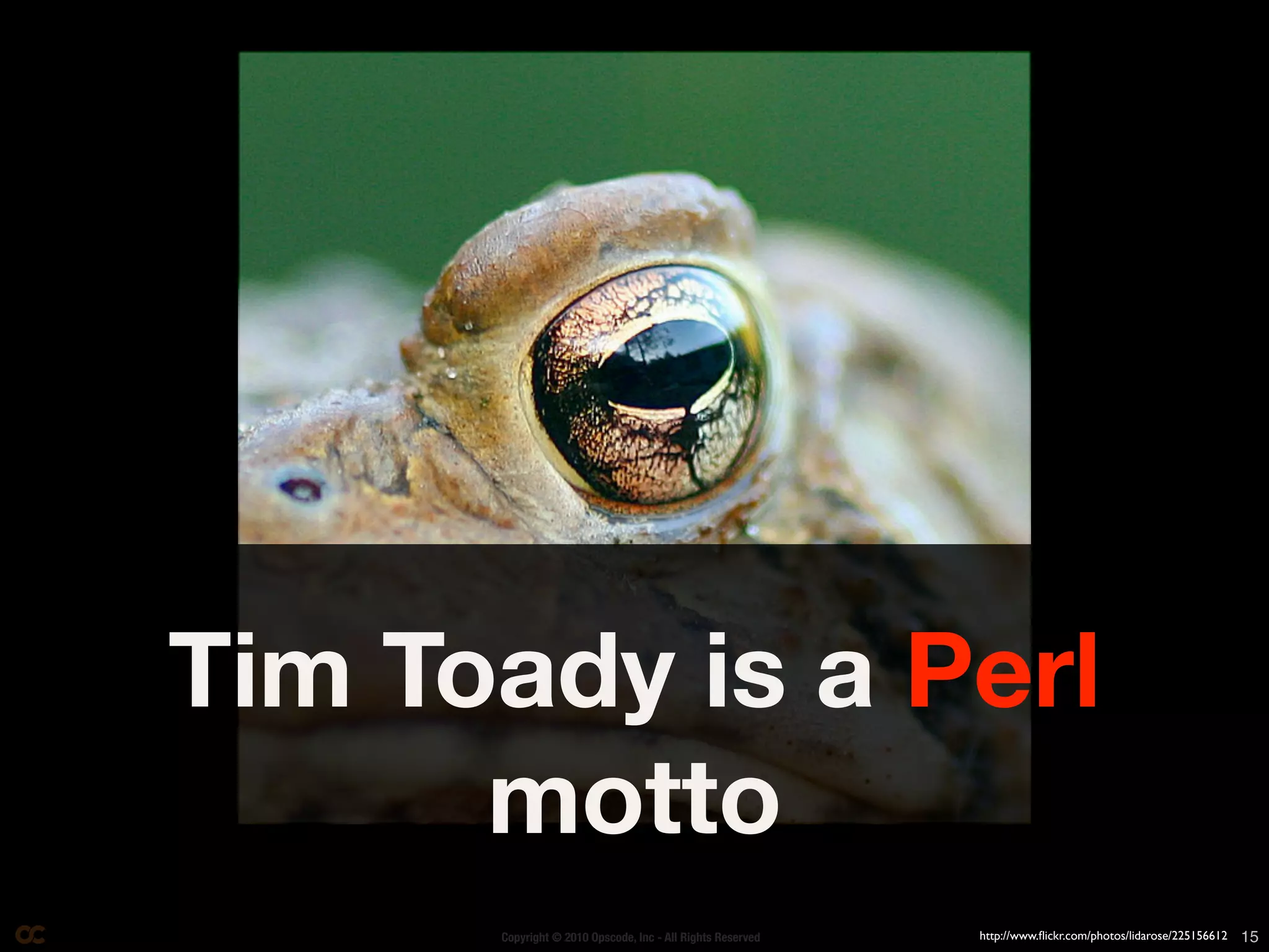 Tim Toady is a Perl
      motto
      Copyright © 2010 Opscode, Inc - All Rights Reserved   http://www.ﬂickr.com/photos/lidarose/225156612   15
 