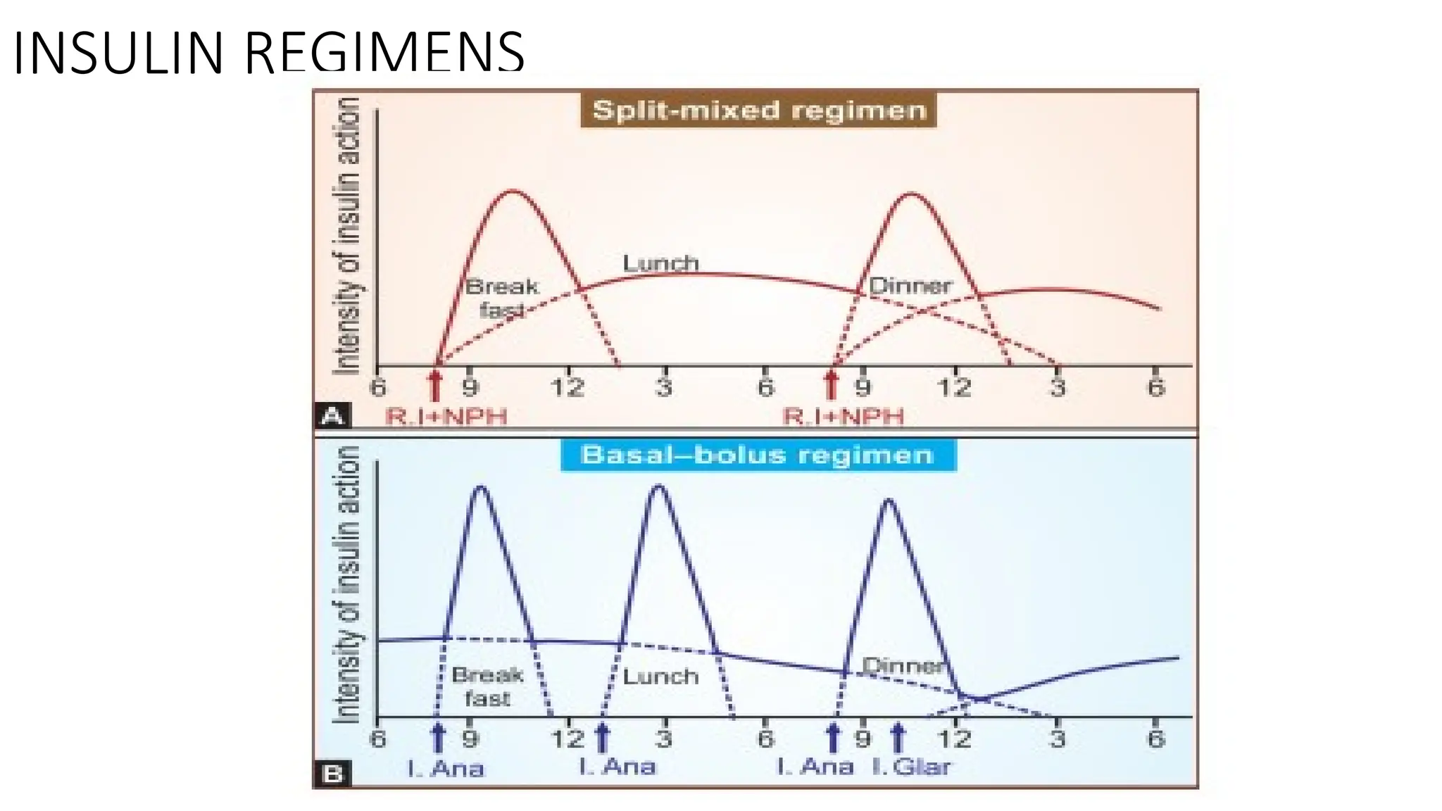 INSULIN REGIMENS
 