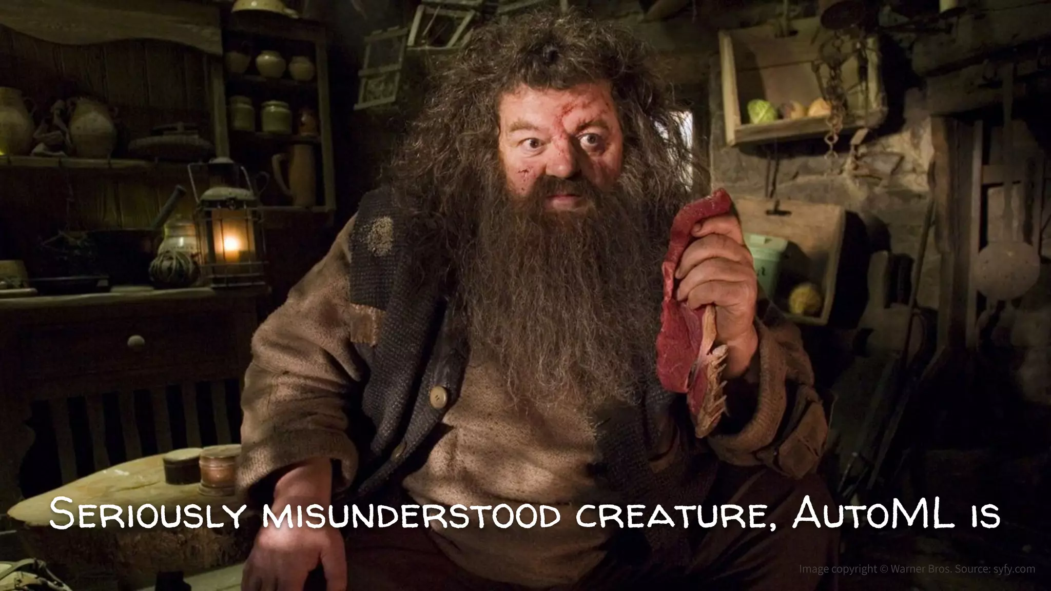 Seriously misunderstood creature, AutoML is
Image copyright © Warner Bros. Source: syfy.com
 