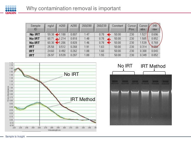 automated nucleic acid purification