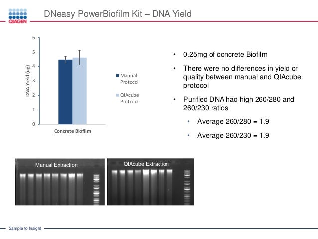 automated nucleic acid purification