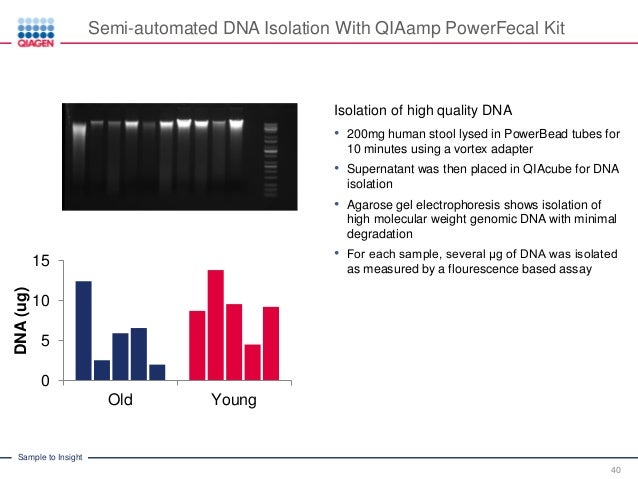 automated nucleic acid purification from diverse sample types using d