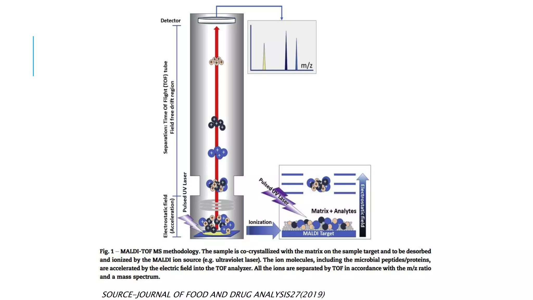 SOURCE-JOURNAL OF FOOD AND DRUG ANALYSIS27(2019)
 