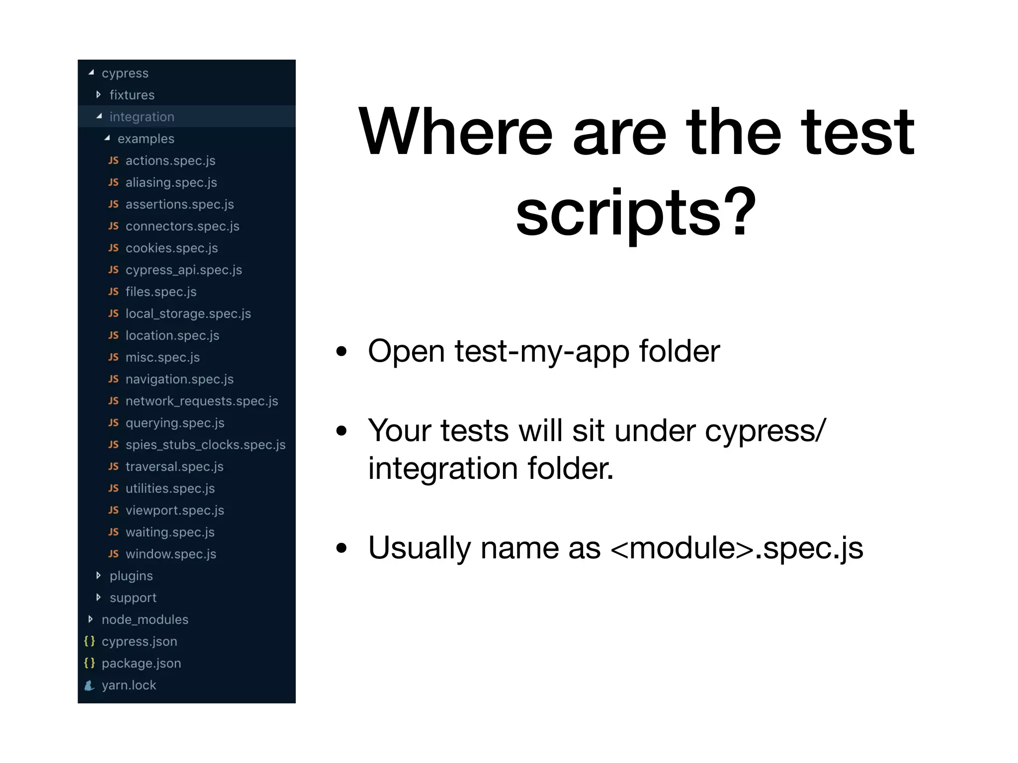 Where are the test scripts? • Open test-my-app folder • Your tests will sit under cypress/ integration folder. • Usually name as <module>.spec.js 