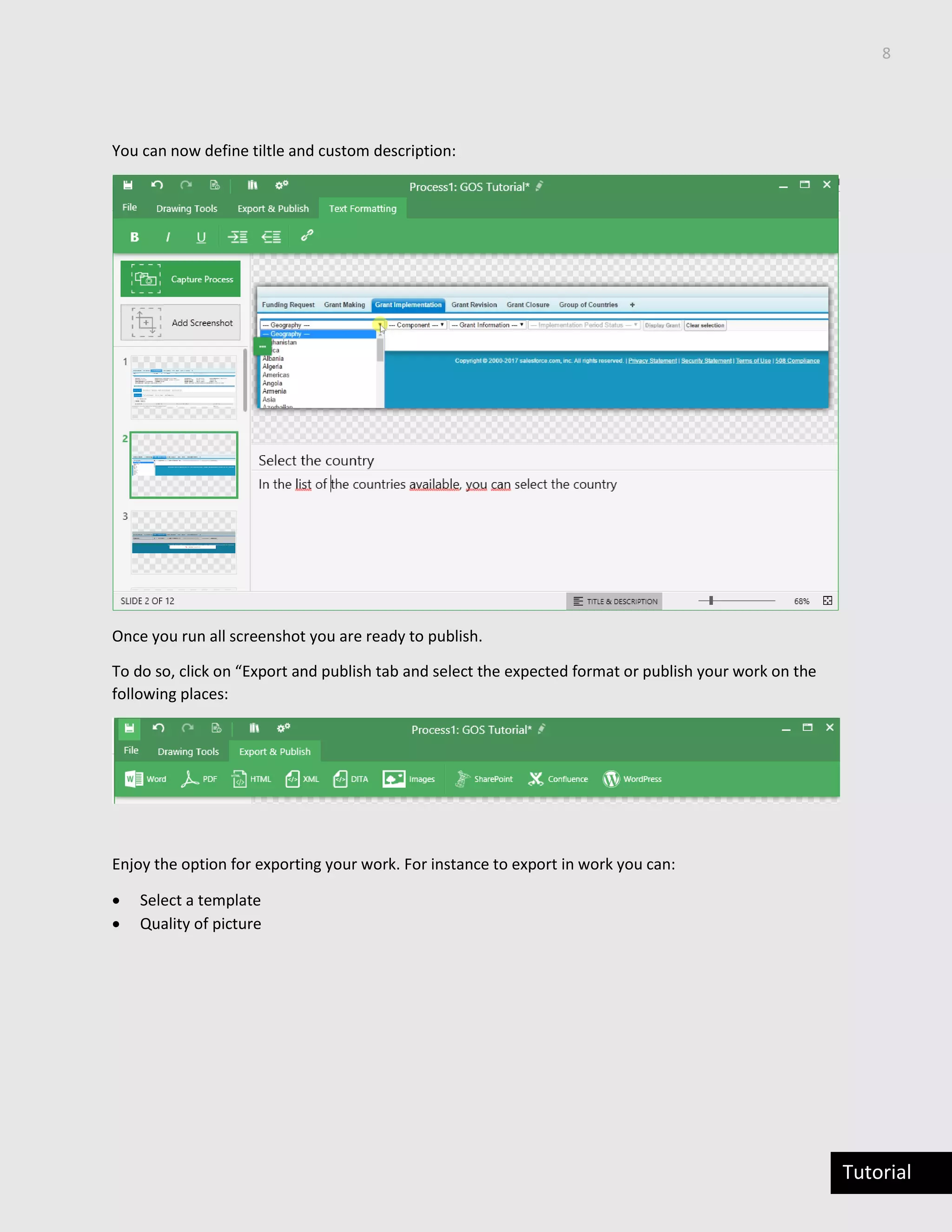 8
Tutorial
You can now define tiltle and custom description:
Once you run all screenshot you are ready to publish.
To do so, click on “Export and publish tab and select the expected format or publish your work on the
following places:
Enjoy the option for exporting your work. For instance to export in work you can:
 Select a template
 Quality of picture
 