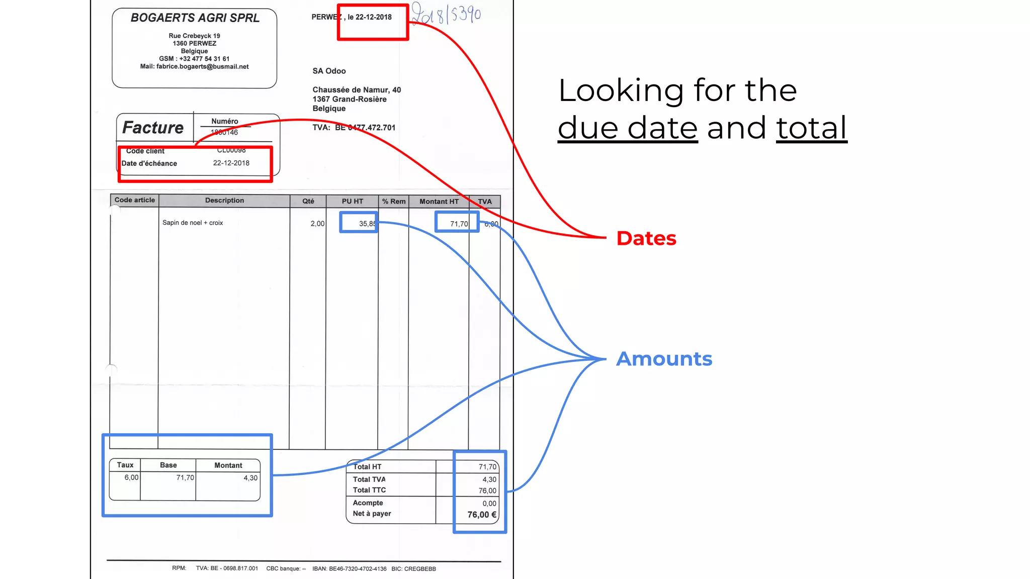 Amounts
Dates
Looking for the
due date and total
 