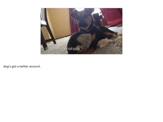 @sammygenehack
dog's got a twitter account.
 