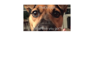 What else you got?
That's cool.
 