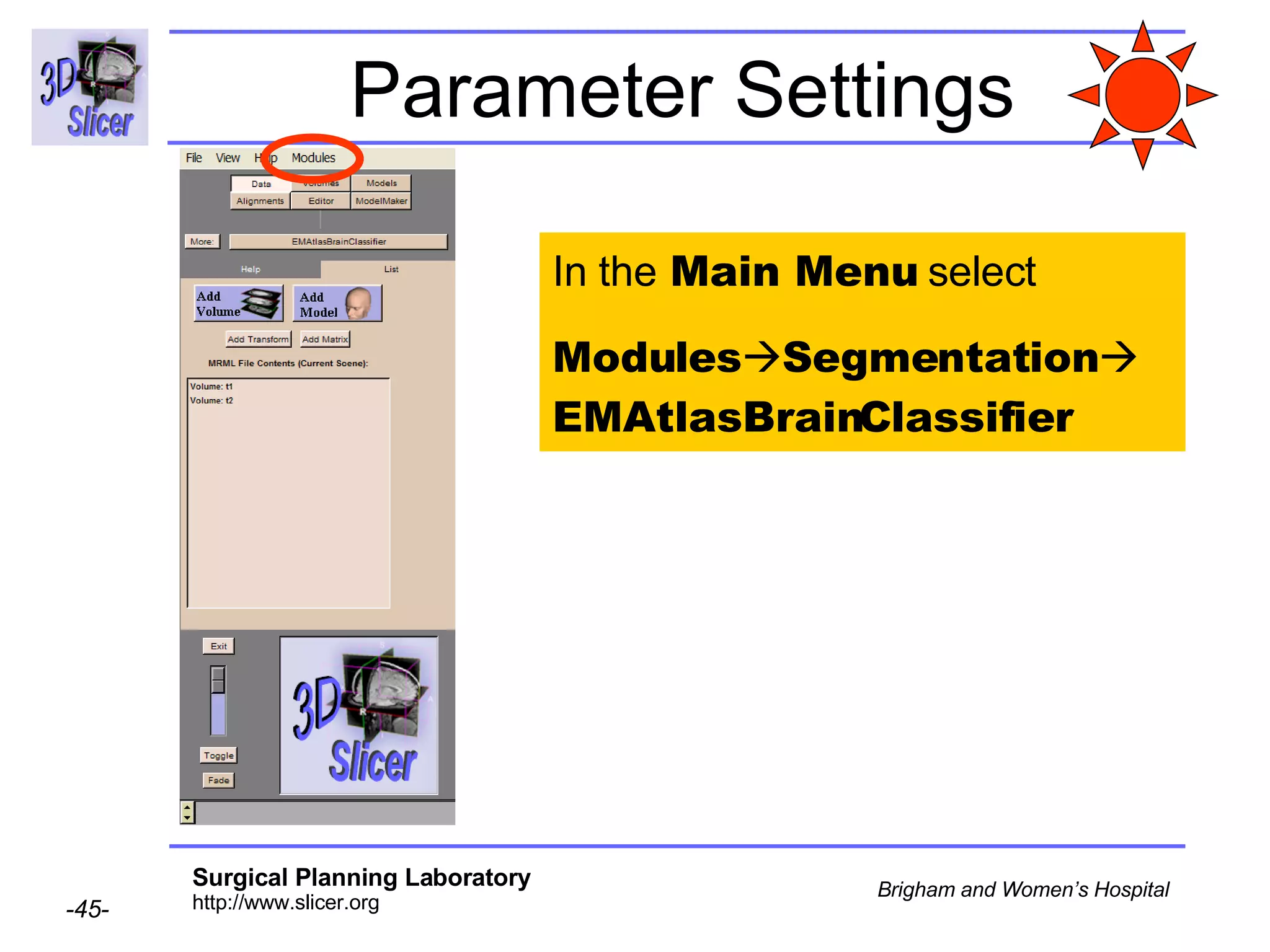Parameter Settings In the  Main Menu  select  Modules  Segmentation   EMAtlasBrainClassifier 