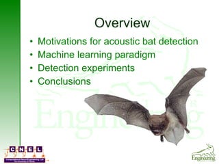 Automatic detection of microchiroptera echolocation calls ... | PPT