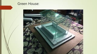 Green House:
 