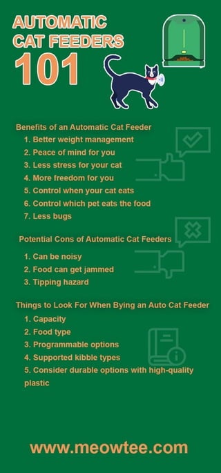 Automatic cat feeders 101