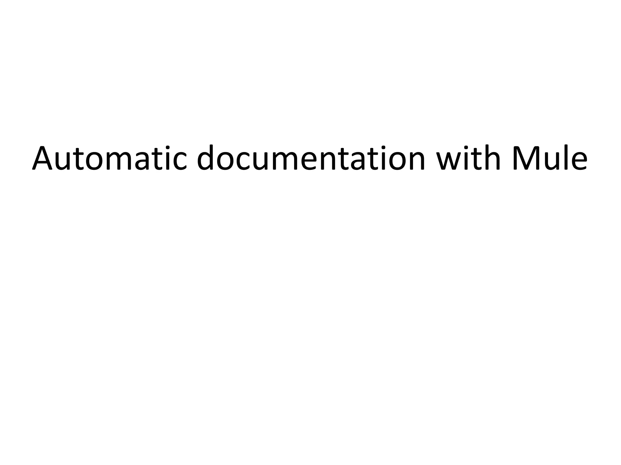 Automatic documentation with Mule 
