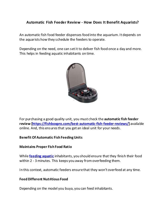 Automatic Fish Feeder Review How Does It Benefit Aquarists